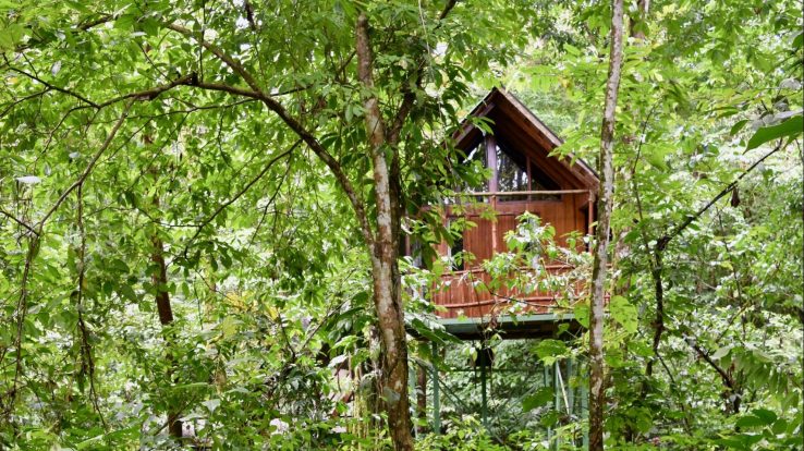 Santa Clara Rainforest Retreat Treehouse Hotel