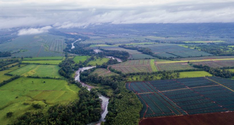 Business of Agriculture in Costa Rica