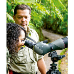 Howler-Magazine--Combo-Adventure-Selvatura-Park-Nature-bird-watching-Costa-Rica