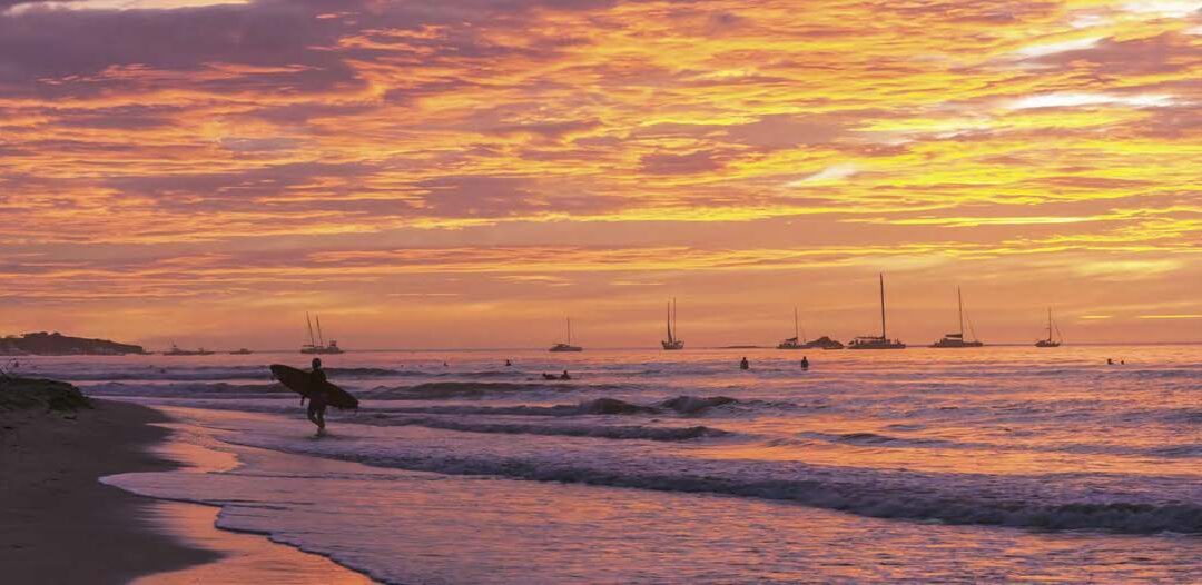 August Odysseys – Surf Expo