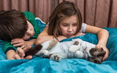 Spay or Neuter Pets