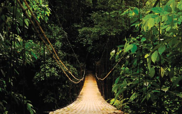 Hanging-bridge-Osa-Peninsula-Ecotourism-in-Costa-Rica