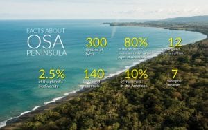 Osa-Península-fatos-Ecoturismo-na-Costa-Rica Caminos de Osa