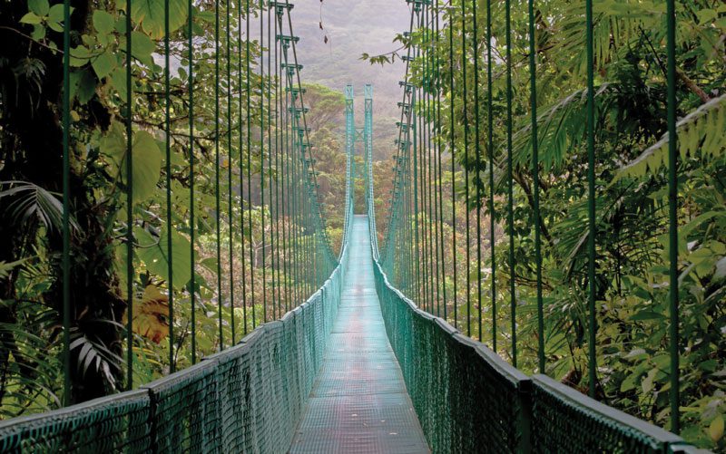 things to do in costa rica the hanging bridges in monteverde