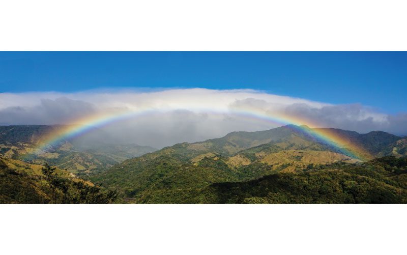 beautiful monteverde cloud forest costa rica