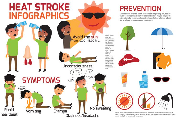 heat stroke info graph