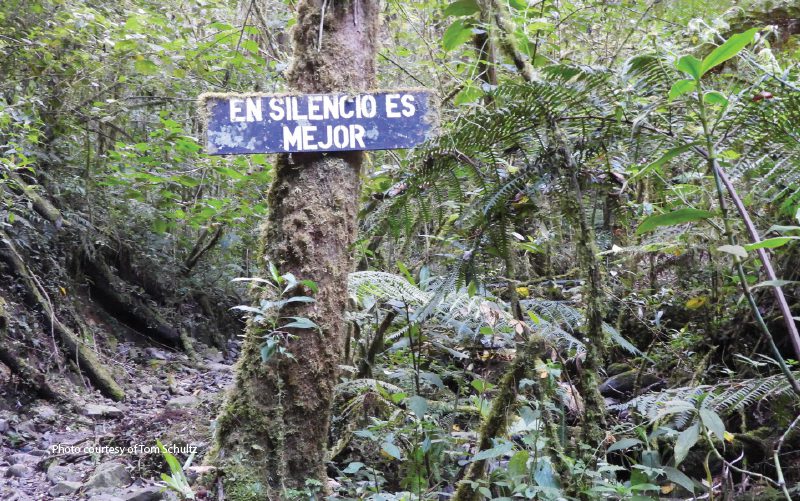 inside los quetzales national park