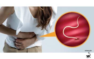 The Doctor Is In:  Intestinal Parasites Invisible Troublemakers