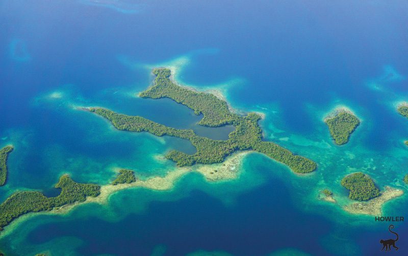 mangrove-islands-bocas-del-toro-panama