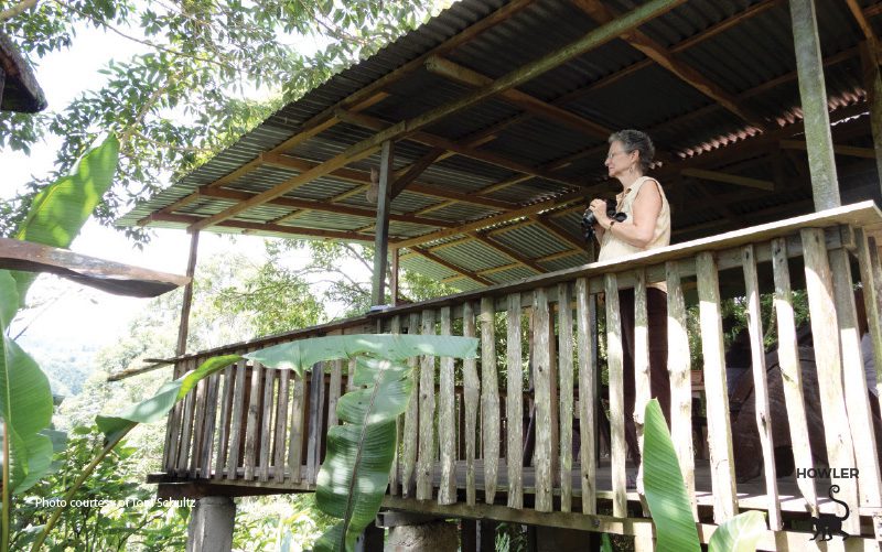 Vogelbeobachtung bei einer Limonade in Costa Rica