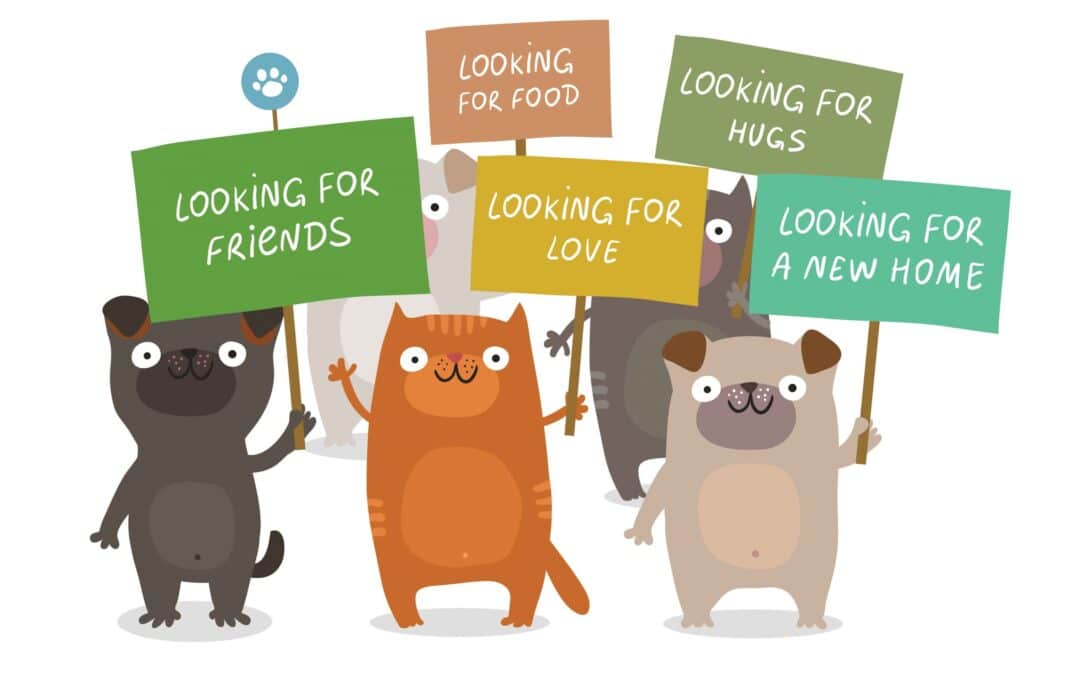 Help Barbara’s Animal Rescue Center