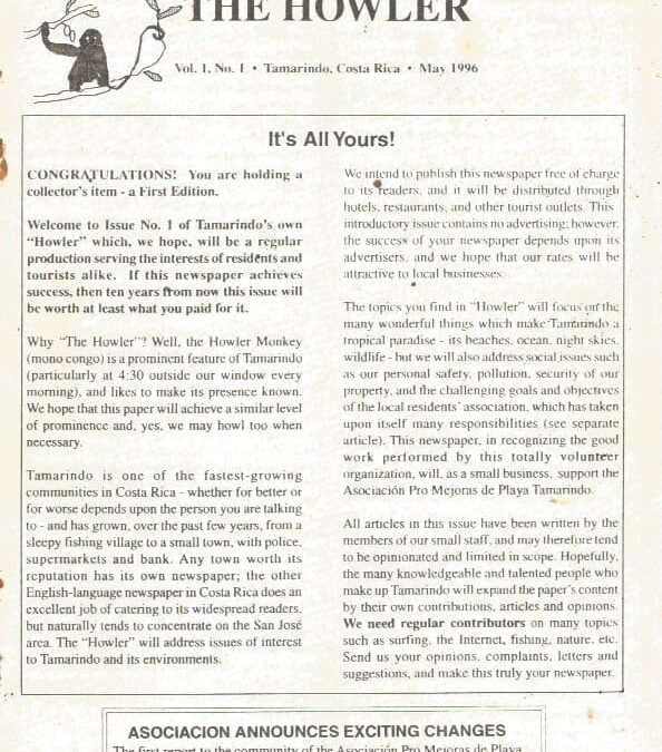 Guest Editorial – What A Ride