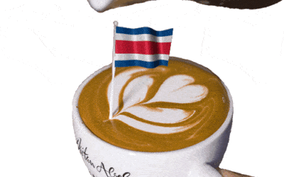 Costa Rica Takes Top Recognition in International Challenge