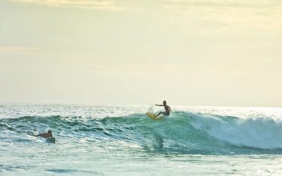 Manuel Antonio: The Surf Spot