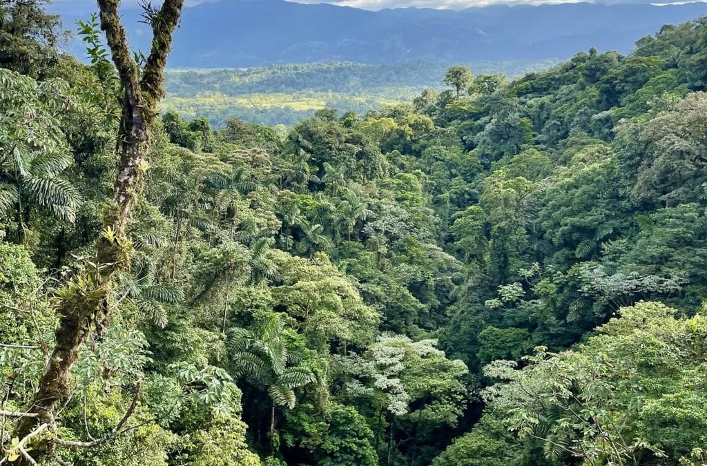ProParques Costa Rica: The Organization Helping National Parks Get Things Done