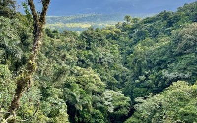 ProParques Costa Rica: The Organization Helping National Parks Get Things Done