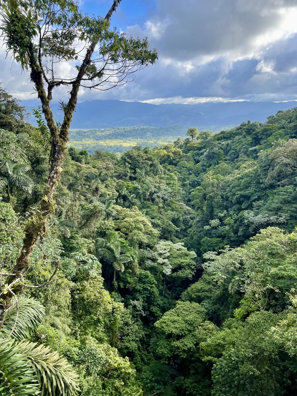 kpiI4vj9-MUJWaR1XCr2Z0UOpWAE5ZLdK2W5tj_jGZ1nNYFsiHrSjU4u5mmvHTft04Q1xHZOC_ap7dEjrAAvFmfrZPY3OmrDW6eOlFyLroc