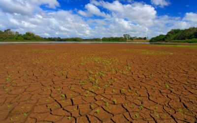 Water Availability