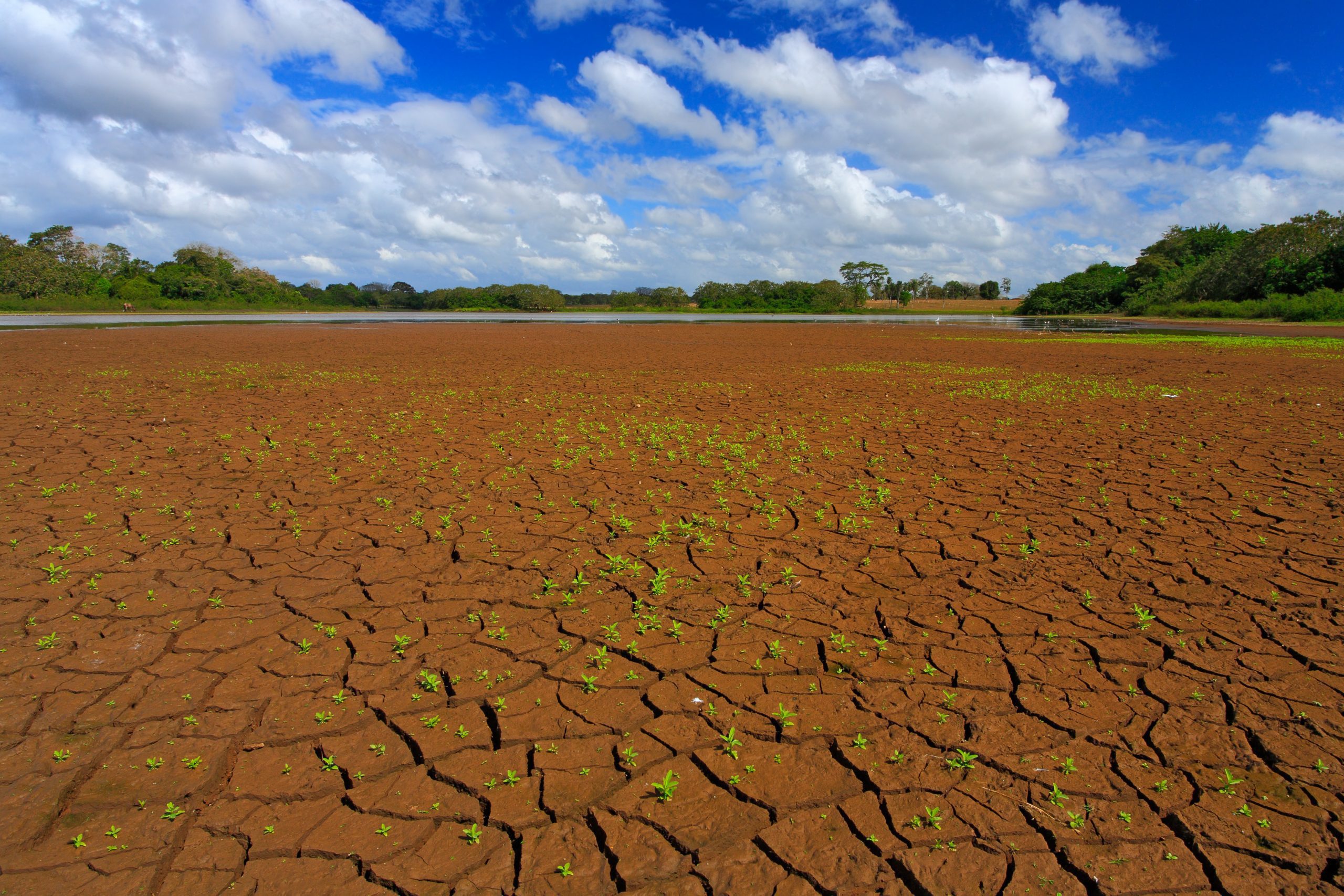 Dry,Summer,Landscape,With,Blue,Sky,And,White,Clouds,,Cano