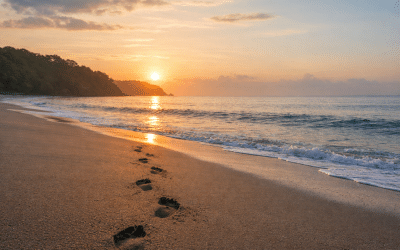 Epiphanies, Not Algorithms: How to Figure Out What You Really Want (and Keep It Close)