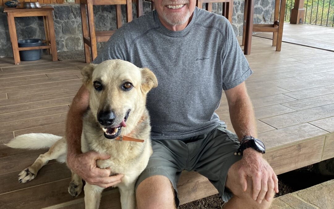 Snowbirds In Paradise