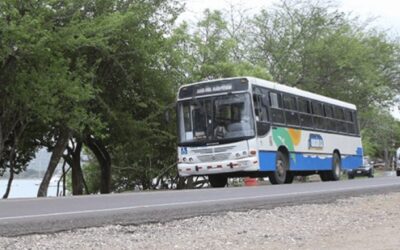 The Local Bus