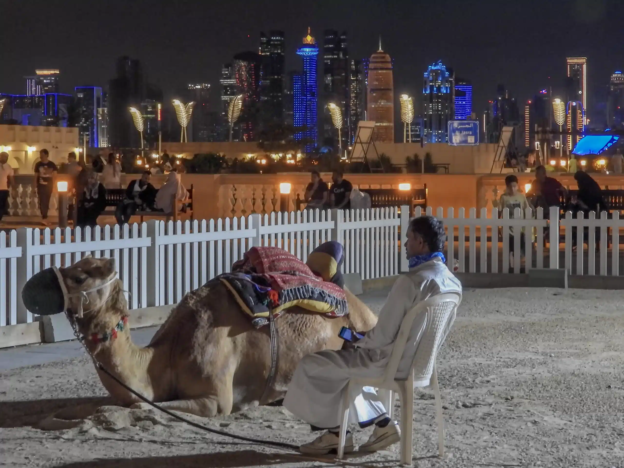 1-DSCN3735 tom with Camel in Doha
