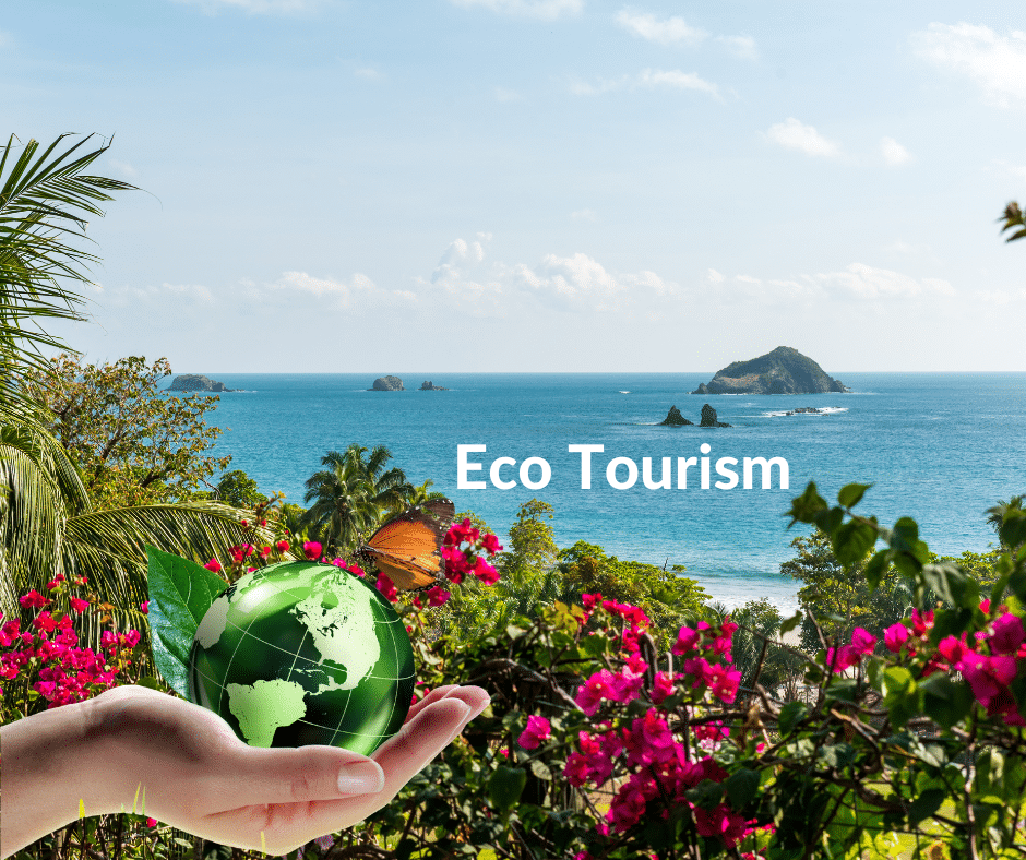 Eco Tourism