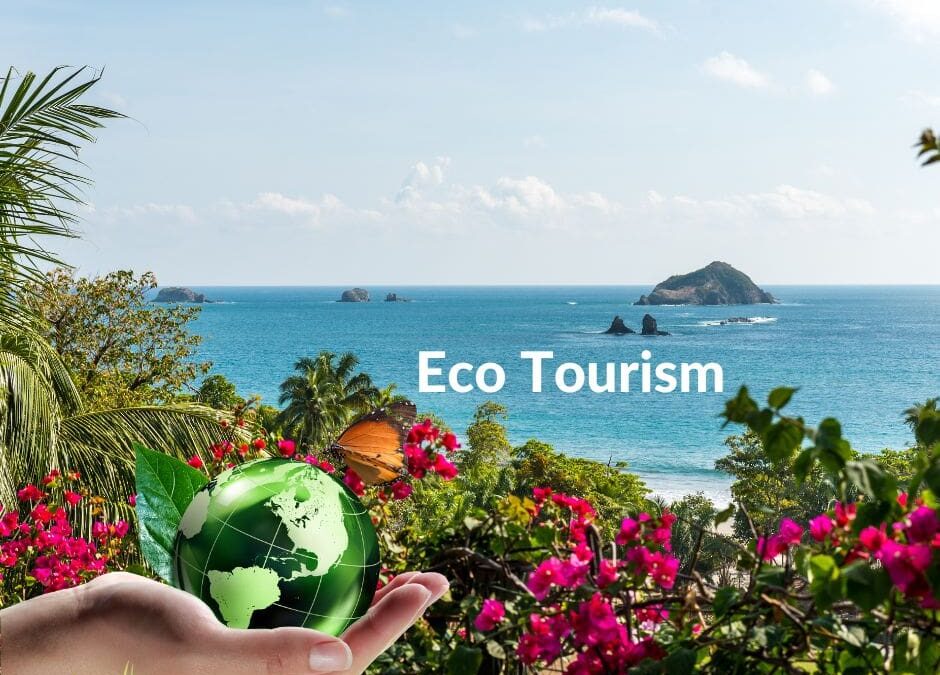 Nature’s Call: Understanding the Rise of Ecotourism