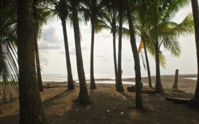 Discovering the Serene Beauty of Dominical, Costa Rica Coastal Town
