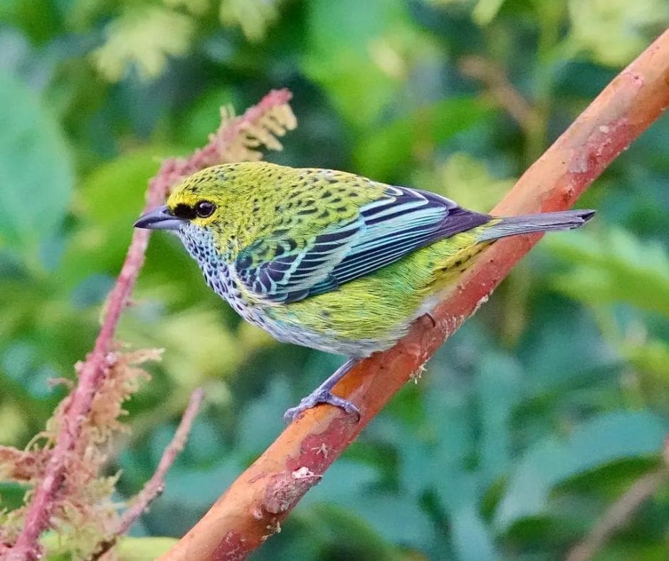 Untitled design – 2024-07-13T104605.141