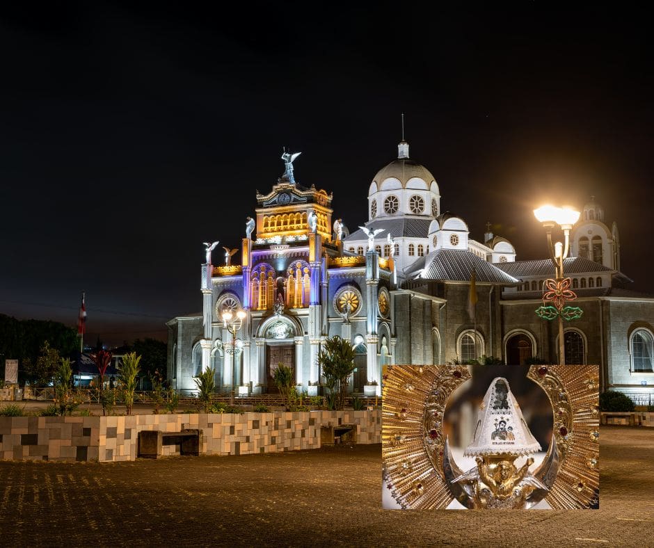 Untitled design – 2024-07-30T100012.807