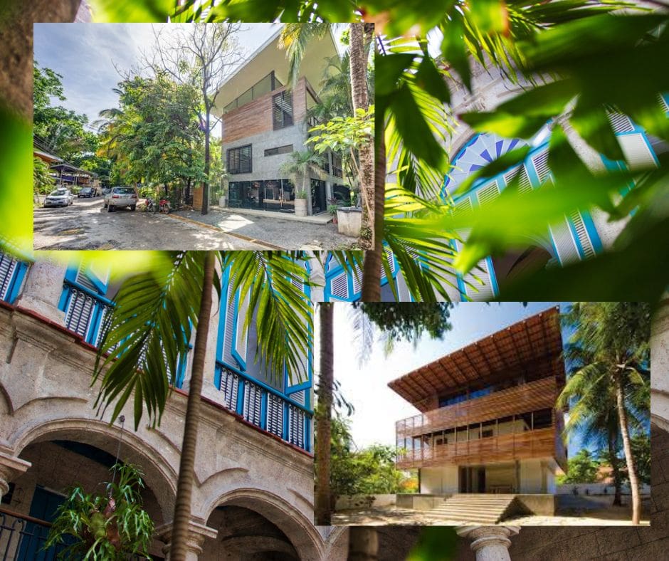Untitled design – 2024-08-05T095148.570 Tropical commercial space