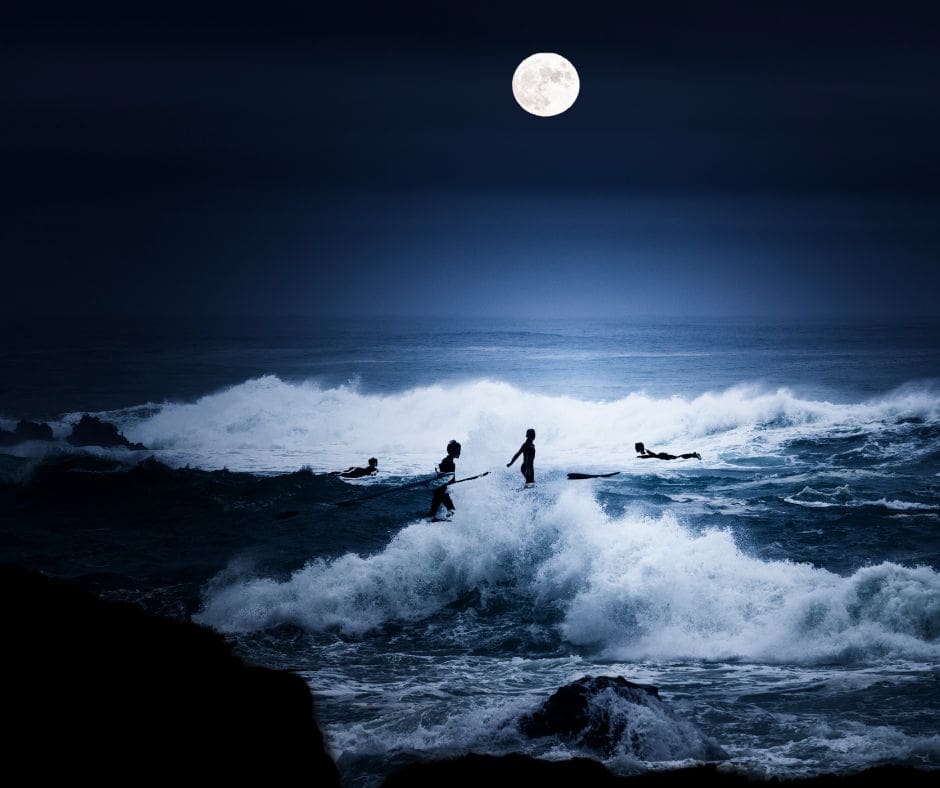 Untitled design – 2024-08-05T174140.640