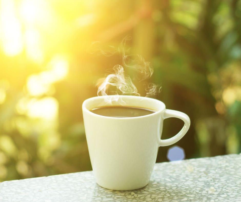 Untitled design – 2024-08-07T133508.613