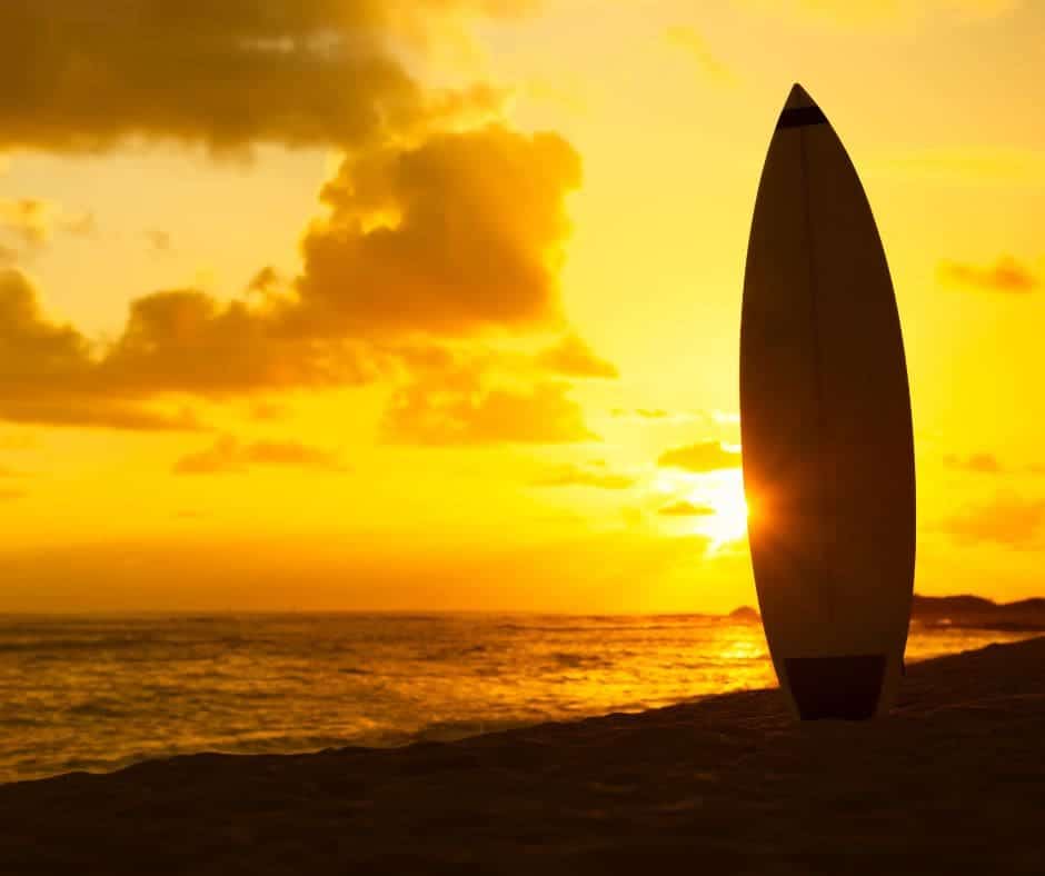 Untitled design – 2024-08-09T112842.717