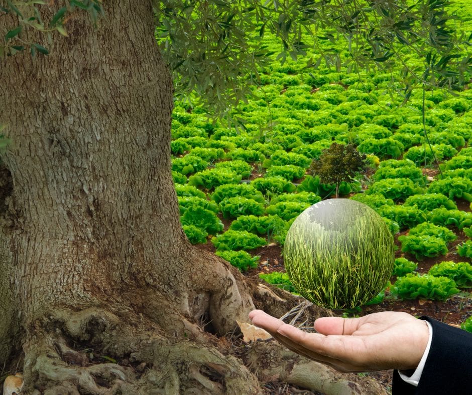 Untitled design – 2024-08-07T111101.786