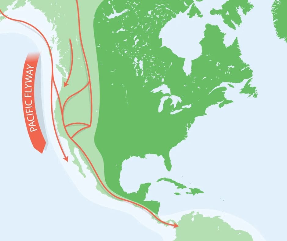 Migration map