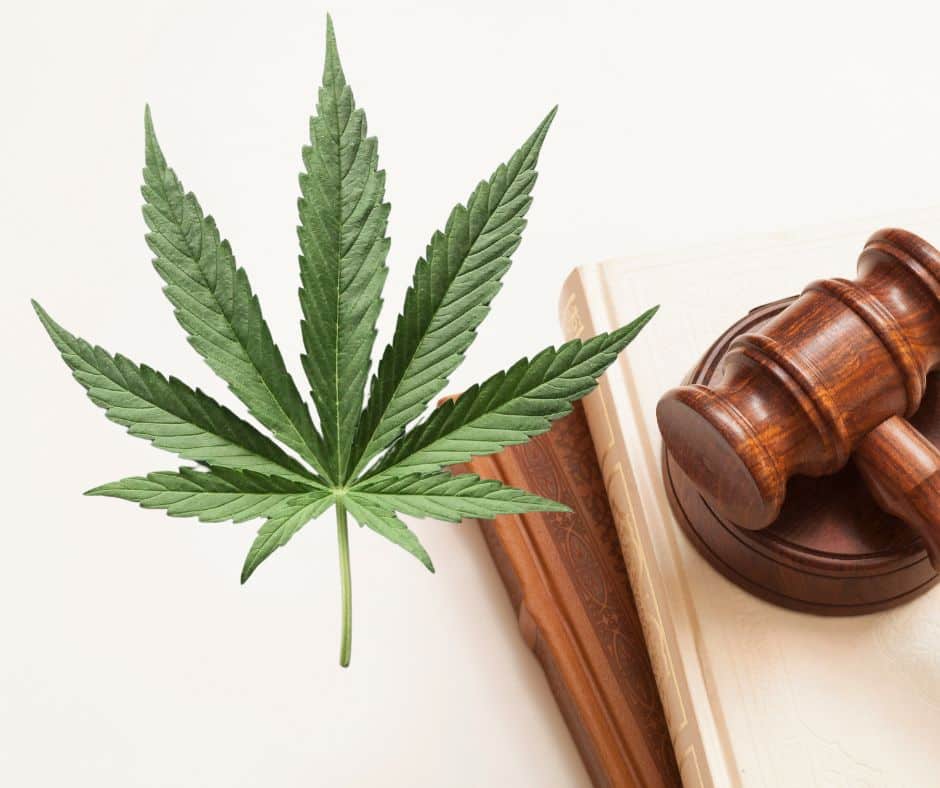 Cannabis legalisation in Costa Rica Benefits