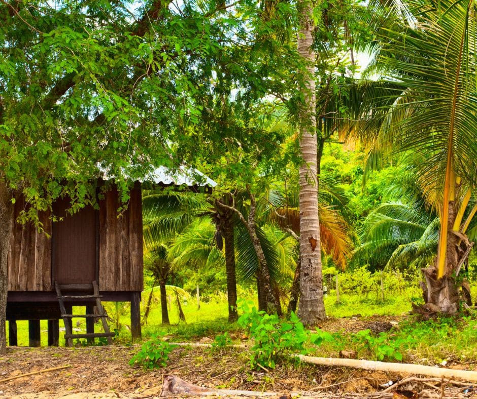 flipping raw land in Costa Rica flipping raw land in Costa Rica for a profit