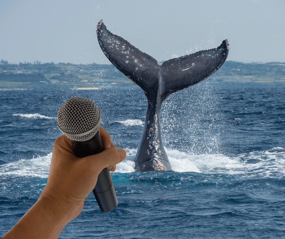 AI animal communication AI animal communication cracking the code