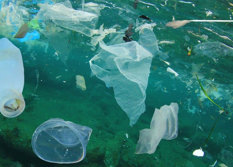 Eco-Wave Warriors: How Surfers Are Saving Costa Rica’s Coastlines