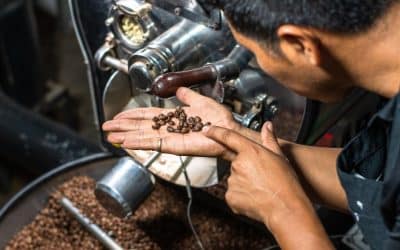 From Beans to Billions: The Business of Costa Rican Coffee