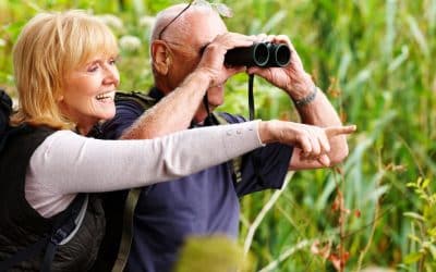 Birding with Binoculars and Bad Jokes in Palo Verde