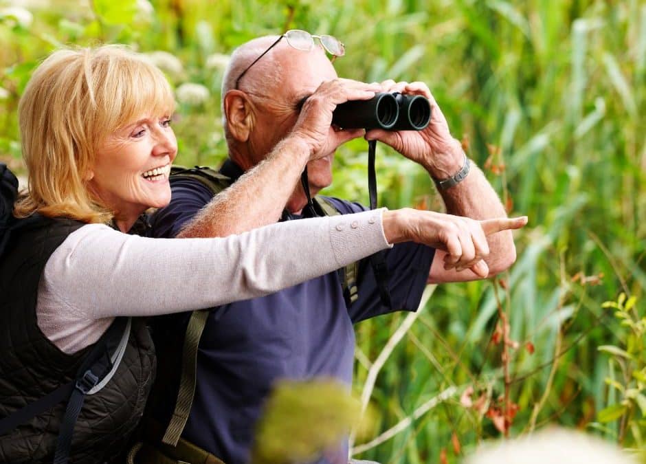 Birding with Binoculars and Bad Jokes in Palo Verde