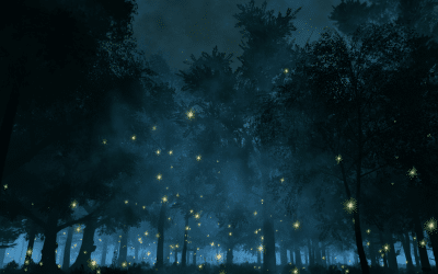 Fireflies, Fairytales, and the Nights That Glow