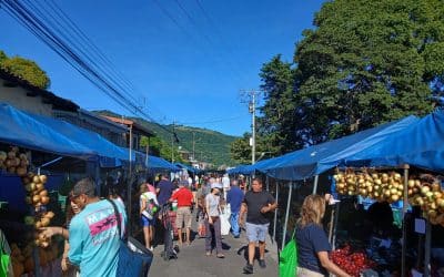 Feria Friendships: Turning Market Day into Your Social Superpower