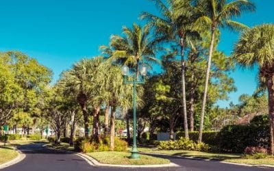 Gated Communities vs Independent Homes in Costa Rica: Which Option Fits Your Lifestyle, Resale Goals and ROI?