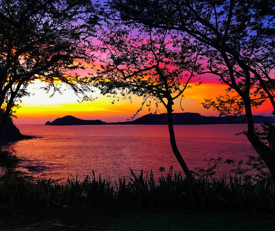 Untitled design (12)