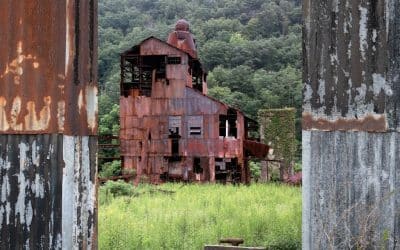 The Great Rust Truce: Beachside Anti-Corrosion Habits